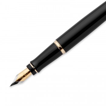 Plunksnakotis Waterman Expert Black GT - S0951640