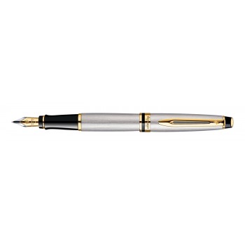 Plunksnakotis Waterman Expert Steel GT M - S0951960