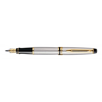 Plunksnakotis Waterman Expert Steel GT - S0951940