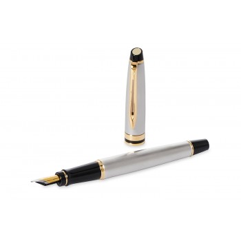 Waterman Expert Steel GT (M) Plunksnakotis - S0951960